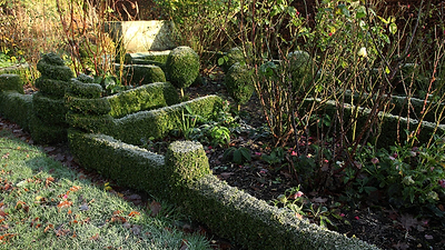 Landscaping Ideas for the Colder Months