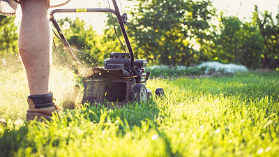 Maintaining Your Gardening Tools in Winter