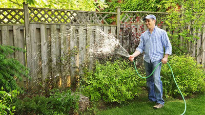 5 Tips to Prepare Your Plants for Summer Heat
