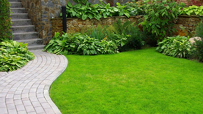 Monochromatic Garden FAQ: Create Stunning Color-Themed Flower Beds