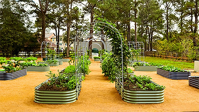 Redefining Space and Sustainability: Vego Garden's Raised Beds Make Gardening Easier