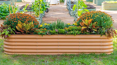 The 10 best raised garden beds to grow vegetables, fruits, herbs and flowers