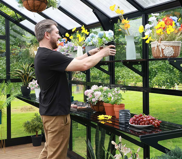 Why Victorian Greenhouses are in Season