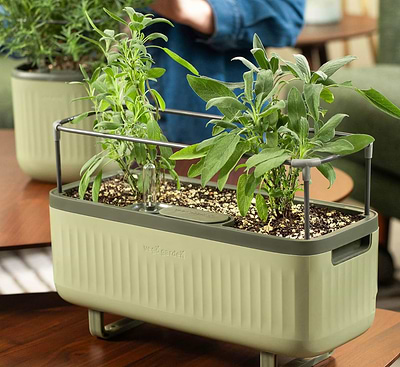 No Guesswork, No Hassle – Vego Planters Make Summer Gardening Effortless