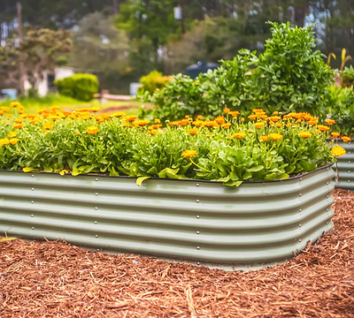 Celebrate Your Gardening Journey on Vego Day (with Vego Garden Beds)