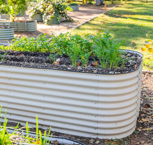 9 Tips For a Big Harvest in Small Spaces like Raised Garden Beds