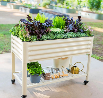 5 Ways to Rock Your Elevated Garden Beds