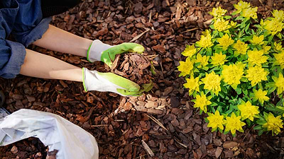 Should You Put Mulch in Your Raised Garden Bed?