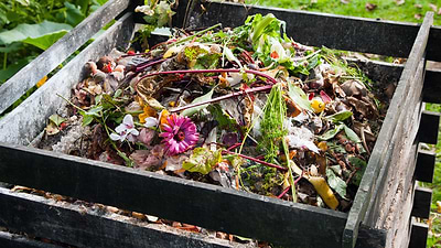 Creating Compost: Why You Need Brown and Green