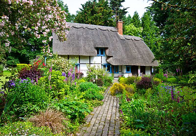 The Art of Layering: Understanding Planting Depths in Garden Beds