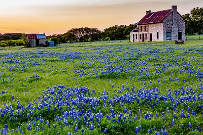 Homesteading: Back to Basics and a Simpler Life