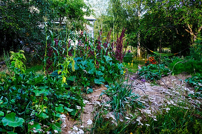 Gardening Goodness: Join the Permaculture Club