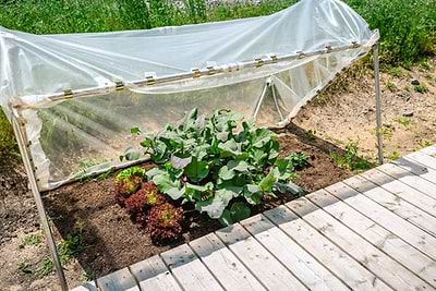 Protecting Your Garden from Extreme Weather