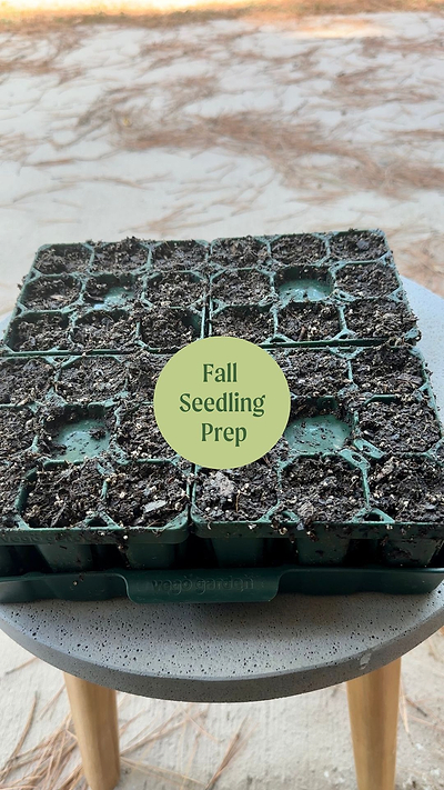 Fall Seedling Prep