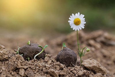 What Exactly is Guerilla Gardening?
