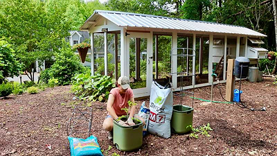 Much Needed Garden Cleanup & New Self-Watering Tomato Planters