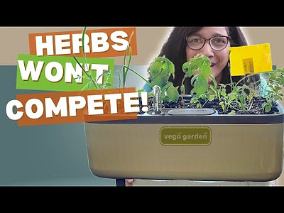 Kitchen Herb Planter: Why SELF-WATERING works so well #vegoplanter