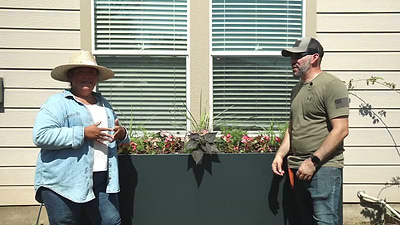 Window Box Planting with Vego Garden Modern Beds