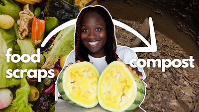 TRANSFORMING food scraps into compost in UNDER 24 Hours! 🤯 feat. ‪@vego_garden‬