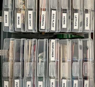 Preparing for Spring Planting: Tips for Ordering and Organizing Seeds and Seedlings