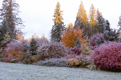 A Guide to Preparing Your Garden for Winter