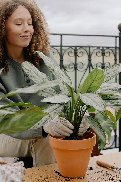 Balcony Gardening: 14 Tips for Growing a Garden in Small Spaces