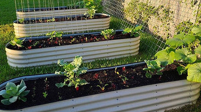 Metal Raised Garden Beds Vs Wood Raised Garden Beds