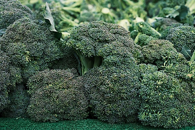 Checklist for Growing Broccoli in Raised Beds All Season Long