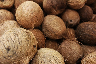 Pros and Cons of Using Coconut Mulch (Coco Coir) in Raised Garden Beds