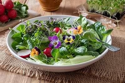 Edible Landscapes: Garden to Table With Your Spring Harvest