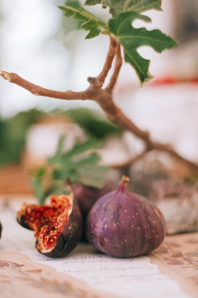 Growing Figs in a Greenhouse: A Complete Guide