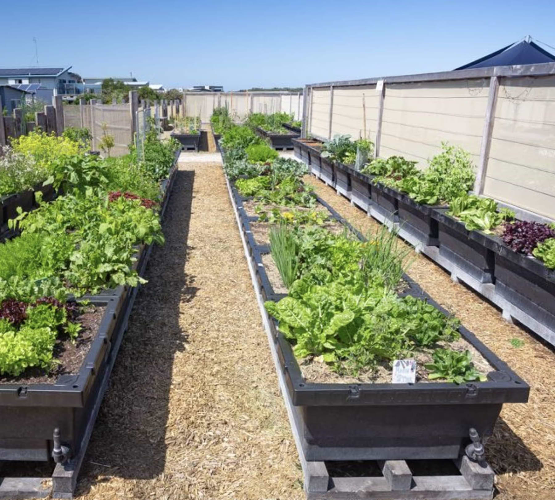 How Does the Foodcube Raised Bed with Self-Watering Work?