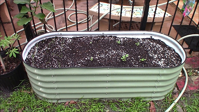 Vego Modular Raised Metal Garden Beds --Should you buy them?