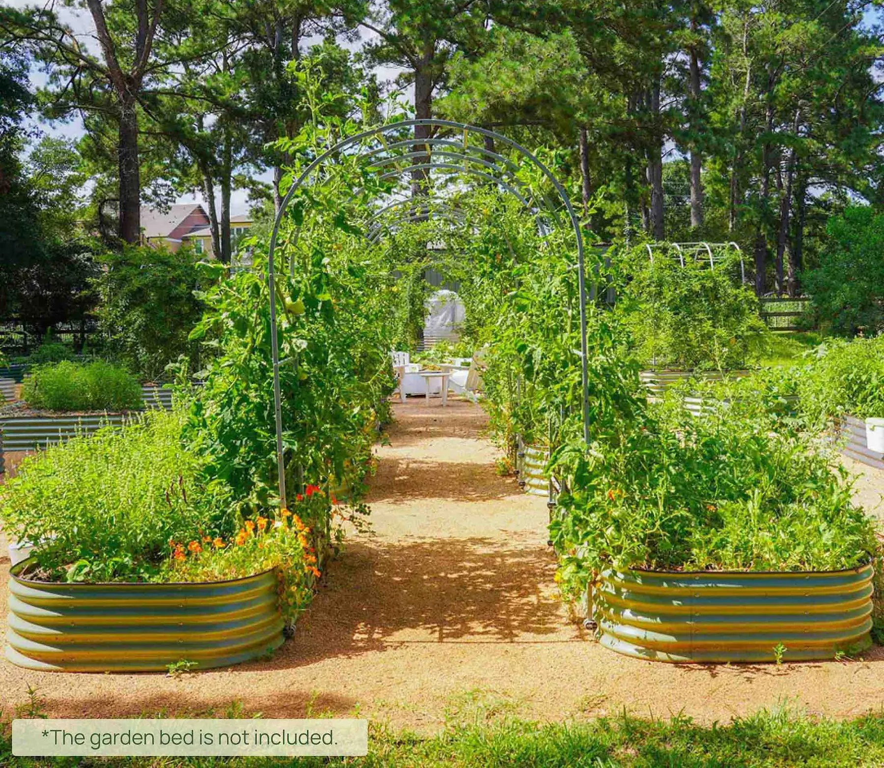 Plant Supports Explained: Tomato Cages, Trellises, and Towers for Your