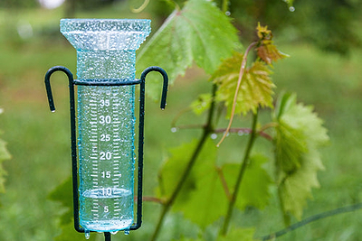 Measuring Rainfall in the Garden