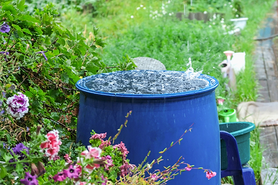 Rainwater Harvesting: Utilizing Nature's Gift for Irrigation