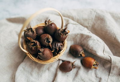 Medlar Fruit - A Fruit as Vulgar as a Medieval Peasant