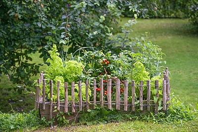 Nip Problems in the Bud with Heat-Tolerant Plants