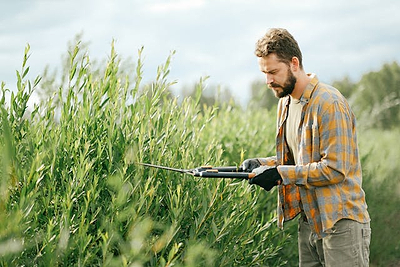 Don’t Let Your Vego Garden Tools Rust Instead Try This Easy Hacks