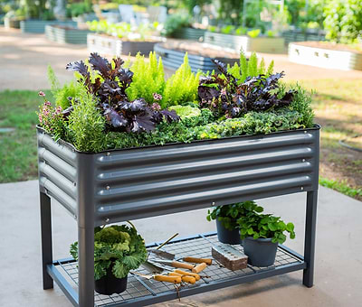 How to Choose the Right Raised Garden Bed for Your Garden Space