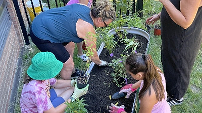 Vego Garden Giving Back Program Update - April 2025