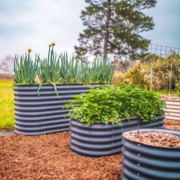 Vego Garden Year in Review 2023: New Products and What’s Next