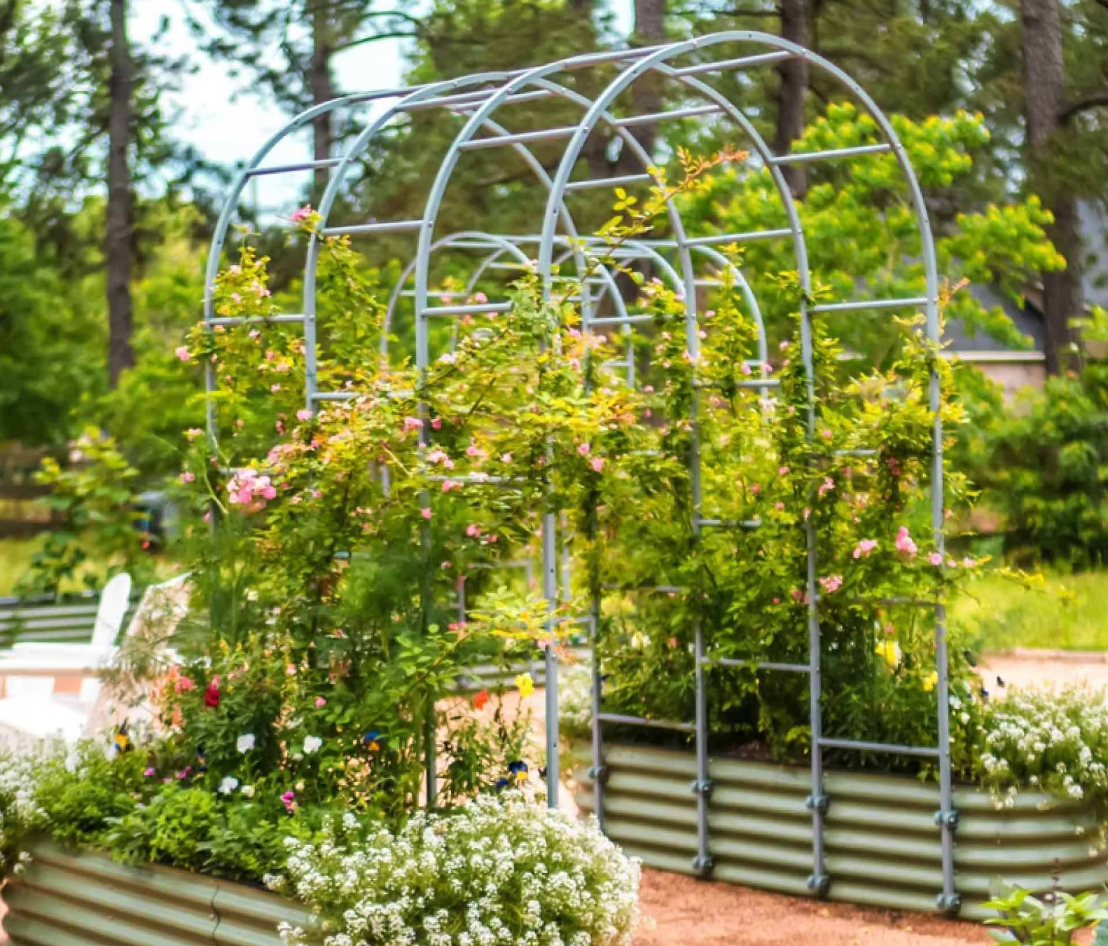 A-Frame vs Arched Trellis and Choosing the Right One