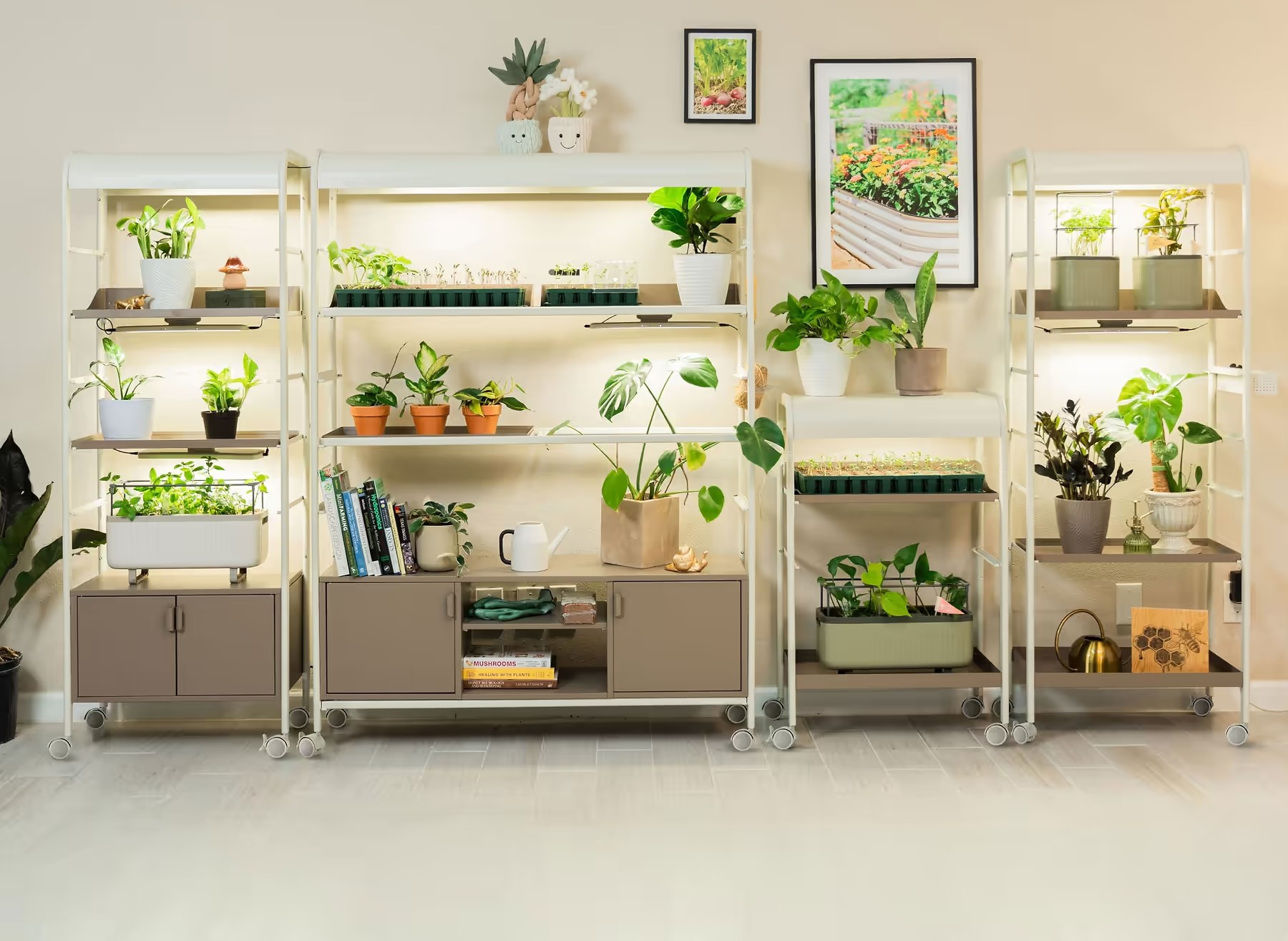 How to Balance Grow Lights and Sunlight for Healthier Plants