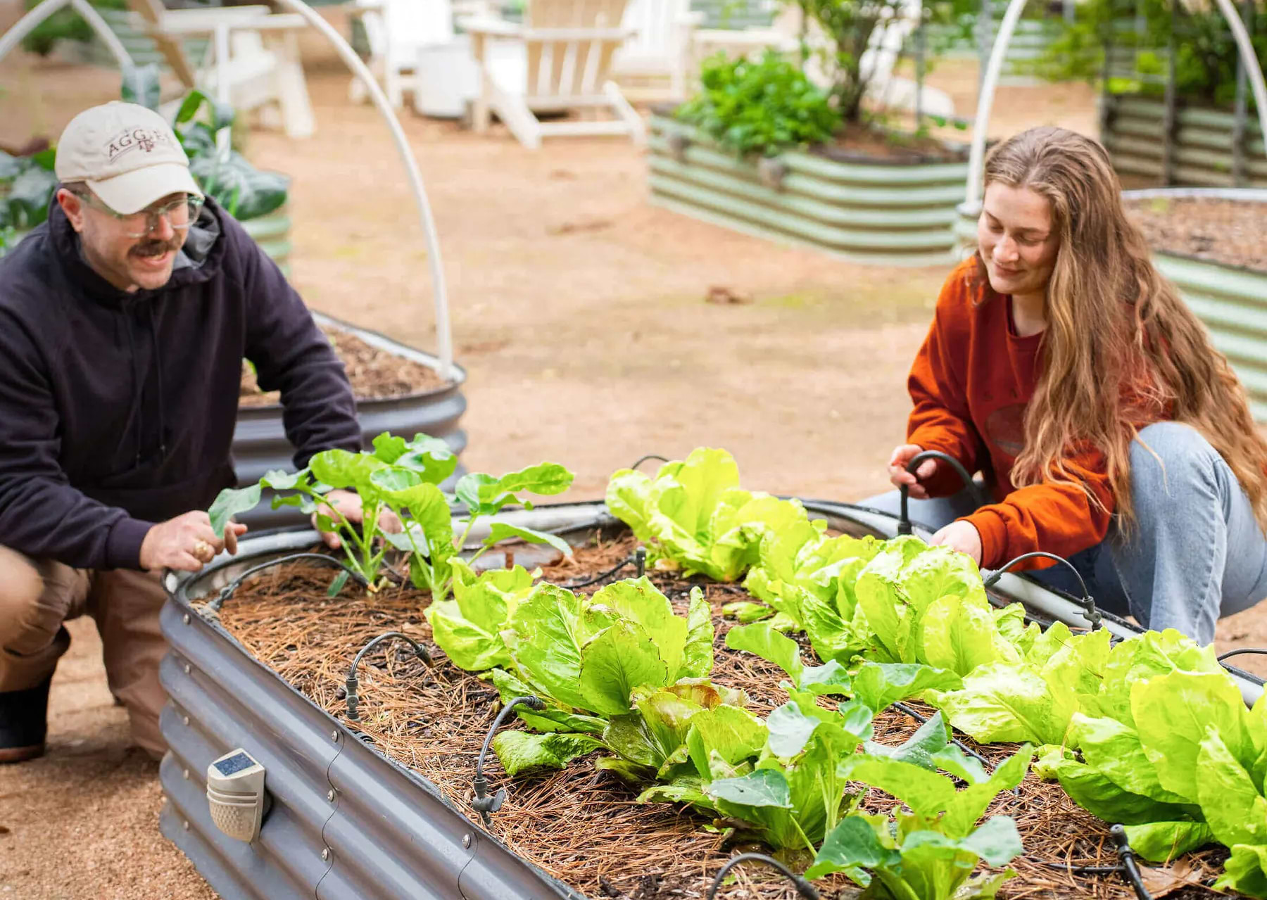 From Raised Beds to Balcony Pots: How to Keep Every Corner of Your Gar