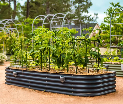 Choosing the Right Vego Raised Garden Bed for Any Space