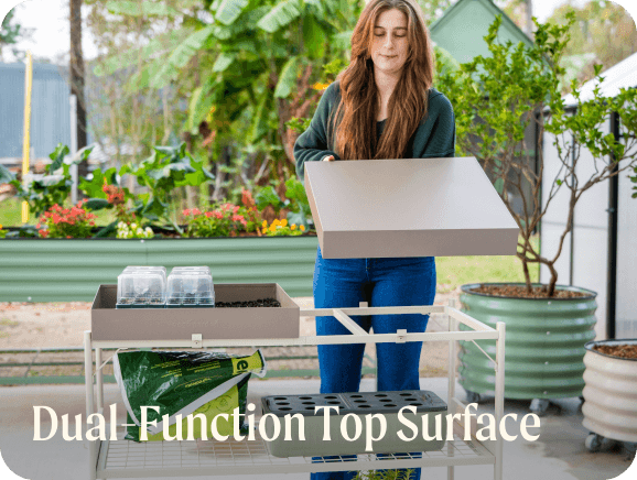 Dual-Function Top Surface