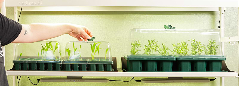 humidity dome for indoor plants Seedling Humidity Dome