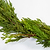25 ft. Cedar Garland