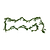 15 ft. White Pine Garland